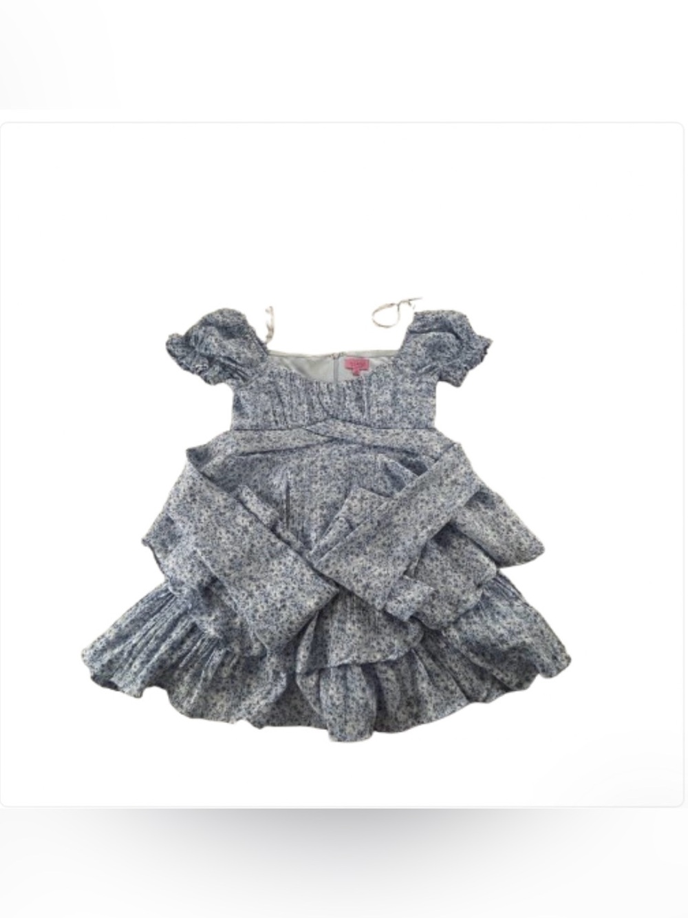 Francesca’s Mi Ami Blue Floral Ruffle Puff Sleeve Mini Dress XS Cottagecore
